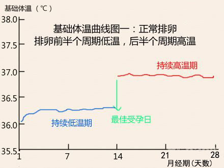 基础体温曲线图正常排卵