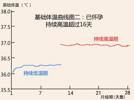 基础体温曲线图已怀孕