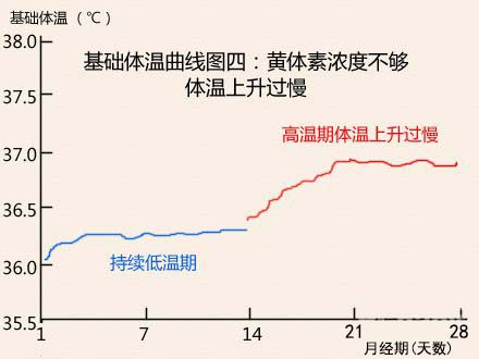 基础体温曲线图黄体素浓度不够