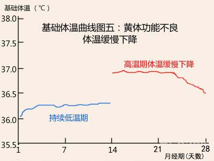 基础体温曲线图黄体功能不良