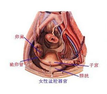 盆腔炎症状