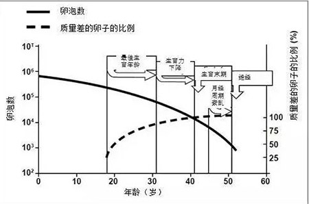 amh值低