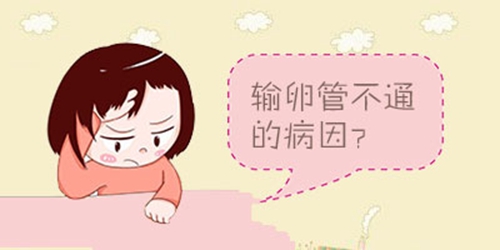 生过孩子会不会有输卵管堵塞