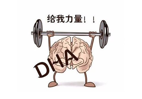 dha哪个牌子好