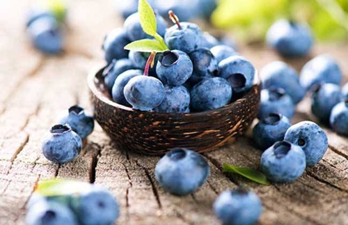试管促排期间能吃蓝莓吗
