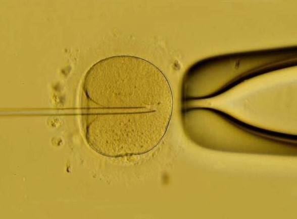 试管囊胚移植后可以喝蜂蜜水吗？孕妇喝蜂蜜水的功效与作用