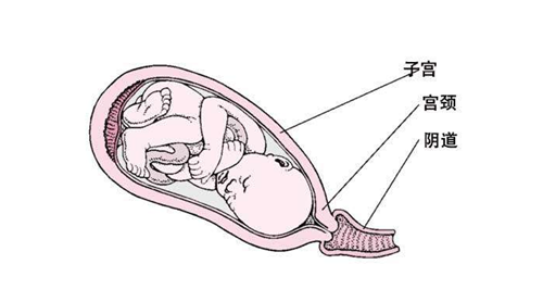 孕晚期宫缩是什么样的