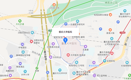 大坪医院地址