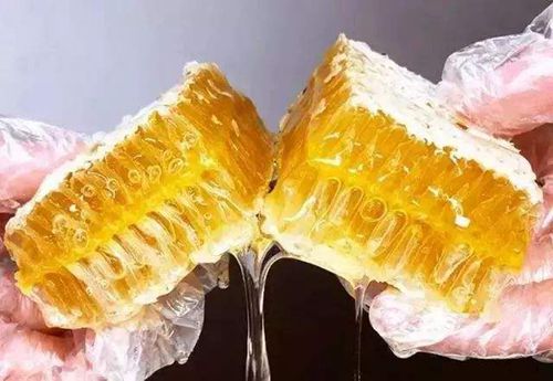 蜂巢